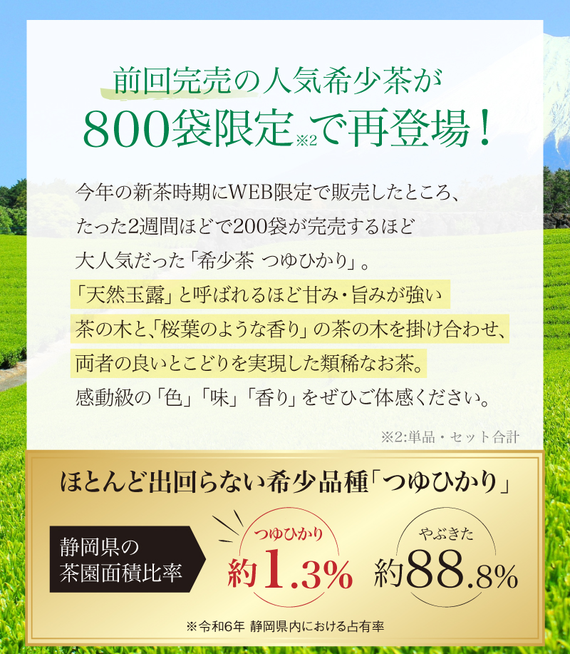前回完売の人気希少茶を800袋限定でご用意できました
