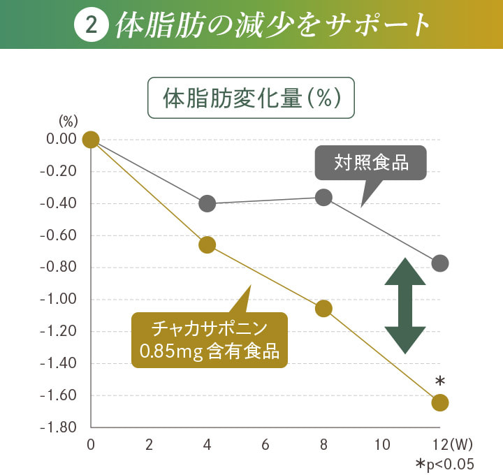 2 体脂肪の減少をサポート