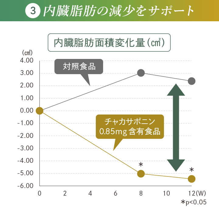 3 内臓脂肪の減少をサポート