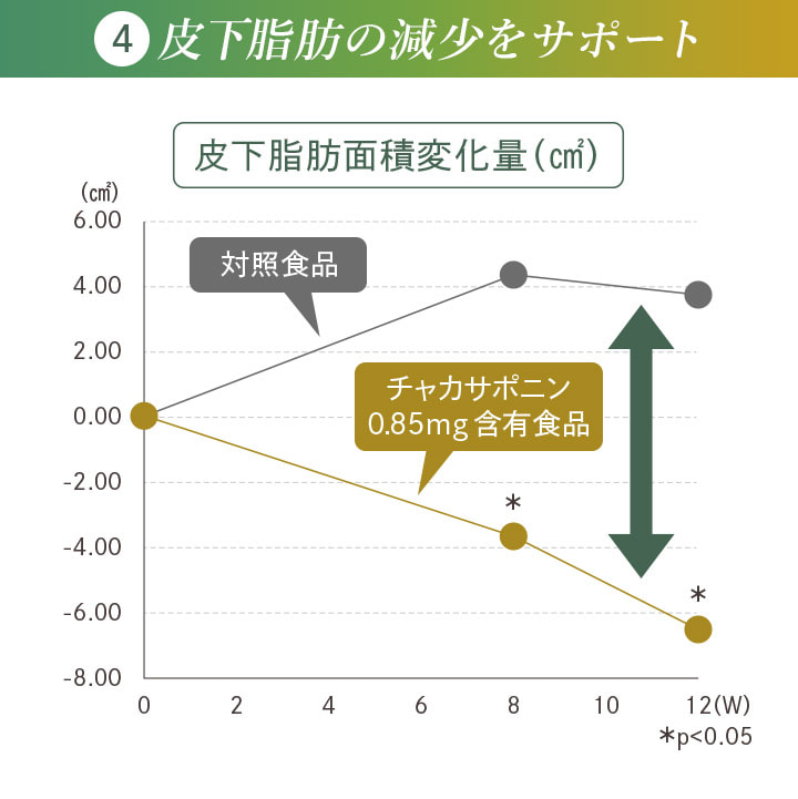 4 皮下脂肪の減少をサポート