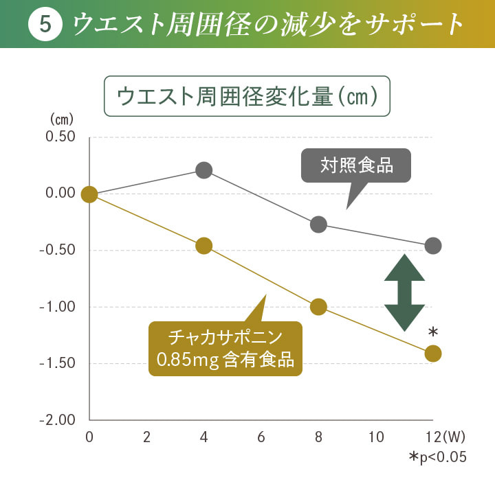 5 ウエスト周囲径の減少をサポート