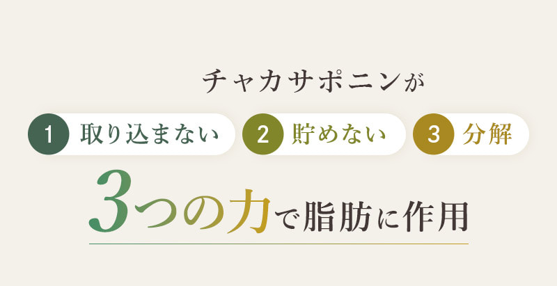 チャカサポニンが 1 取り込まない 2 貯めない 3 分解 3つの力で脂肪に作用