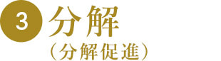 3 分解(分解促進)
