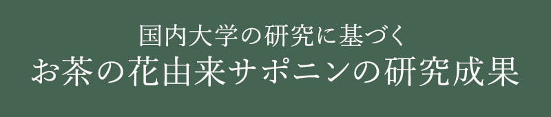 国内大学の研究に基づく<br>お茶の花由来サポニンの研究成果