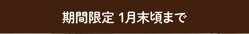 期間限定1月末頃まで
