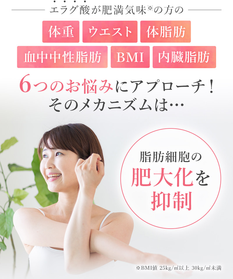 エラグ酸が肥満気味※の方の 体重 ウエスト 体脂肪 血中中性脂肪 BMI 内臓脂肪 6つのお悩みにアプローチ！そのメカニズムは… 脂肪細胞の肥大化を抑制 ※BMI値 25kg/㎡以上 30kg/㎡未満