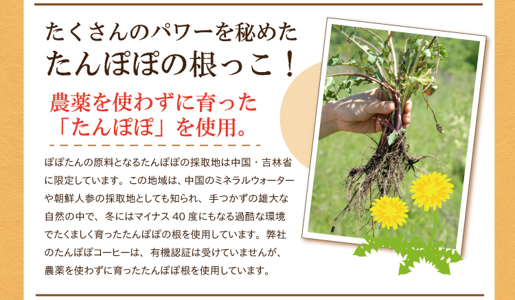たんぽぽコーヒー