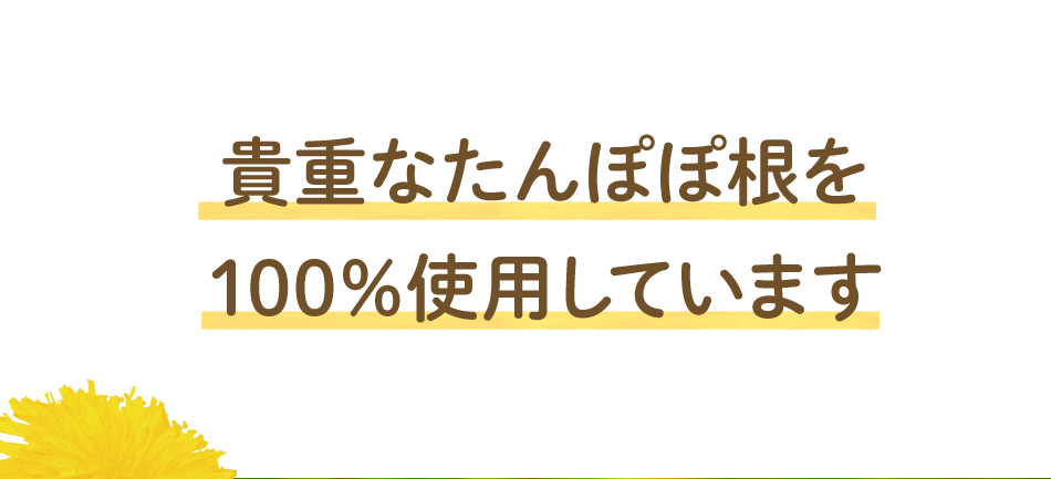 貴重なたんぽぽ根を100%使用しています