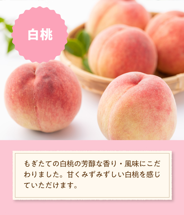 もぎたての白桃の芳醇な香り・風味にこだわりました。