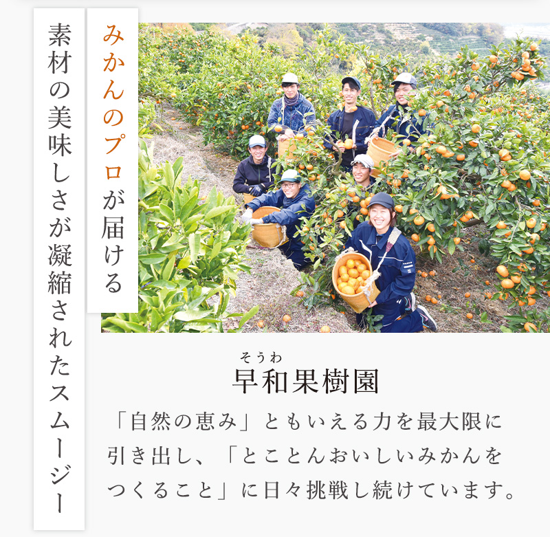 みかんのプロが届ける素材のおいしさが凝縮されたスムージー