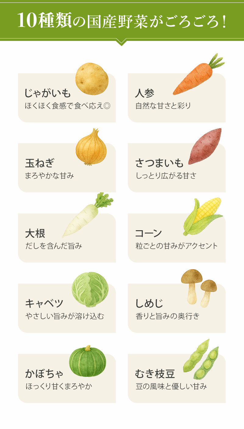 10種類の国産野菜がごろごろ！