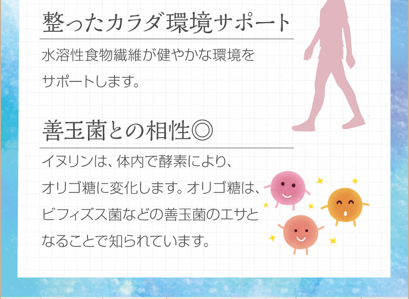 【整ったカラダ環境サポート】　水溶性食物繊維が健やかな環境をサポートします。　【善玉菌との相性◎】　イヌリンは、体内で酵素により、オリゴ糖に変化します。オリゴ糖は、ビフィズス菌などの善玉菌のエサとなることで知られています。