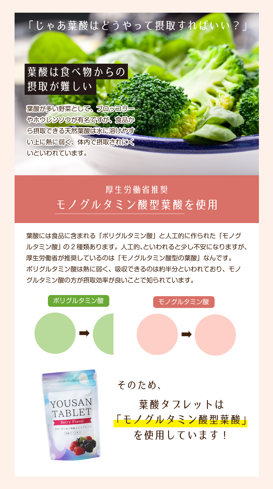 厚生労働省推奨 モノグルタミン酸型葉酸を使用