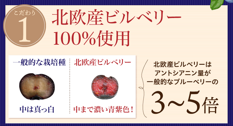 北欧産ビルベリー100％使用 だから実感力がすごい!!