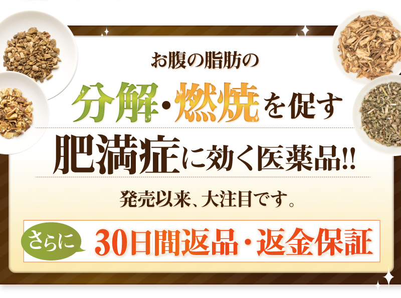 お腹の脂肪の分解・燃焼を促す 肥満症に効く医薬品