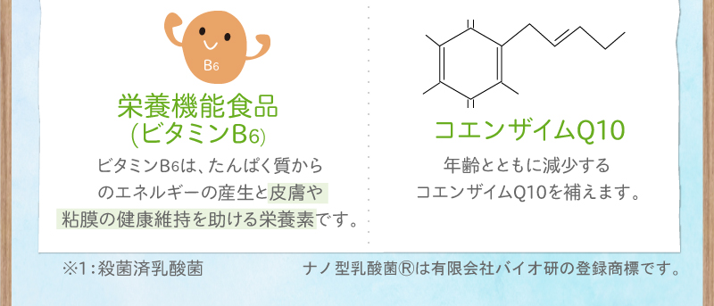 栄養機能食品ビタミンB6・コエンザイムQ10