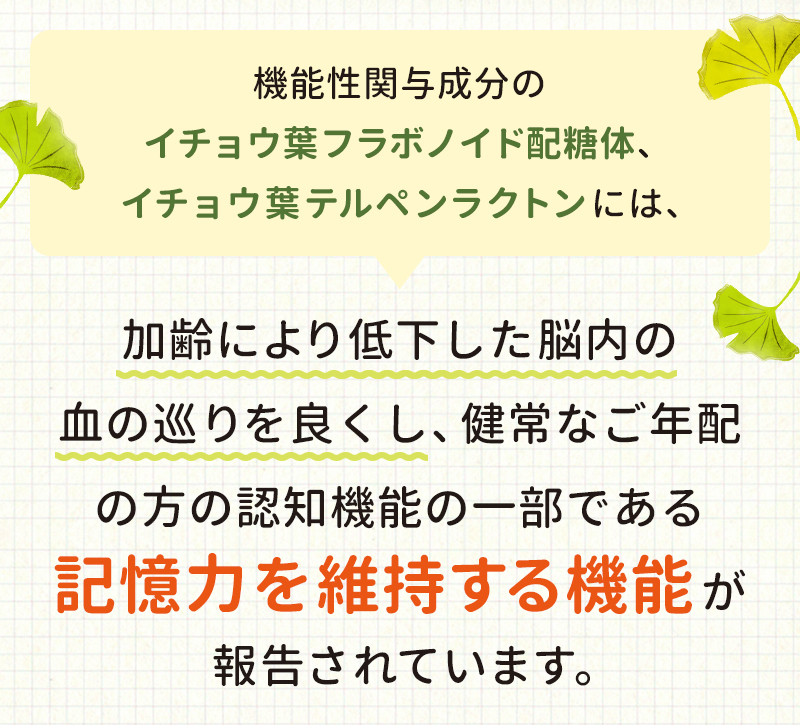 脳内の血の巡りを良くする　記憶力を維持する機能