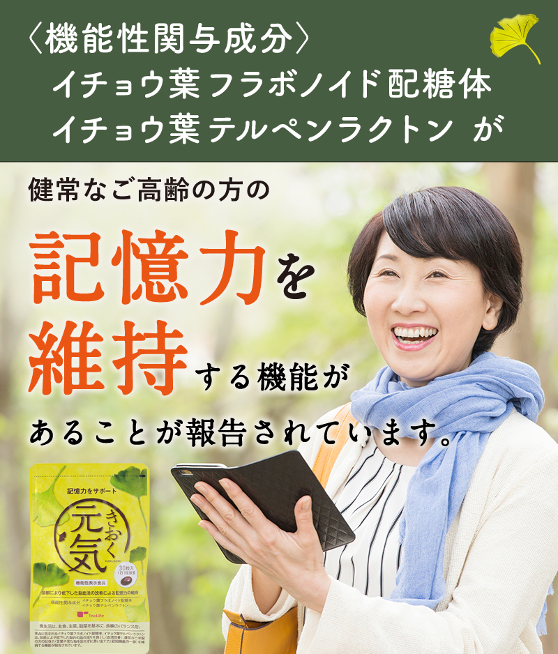 脳内の血流改善　記憶力を維持　機能性関与成分　イチョウ葉フラボノイド配糖体　イチョウ葉テルペンラクトン