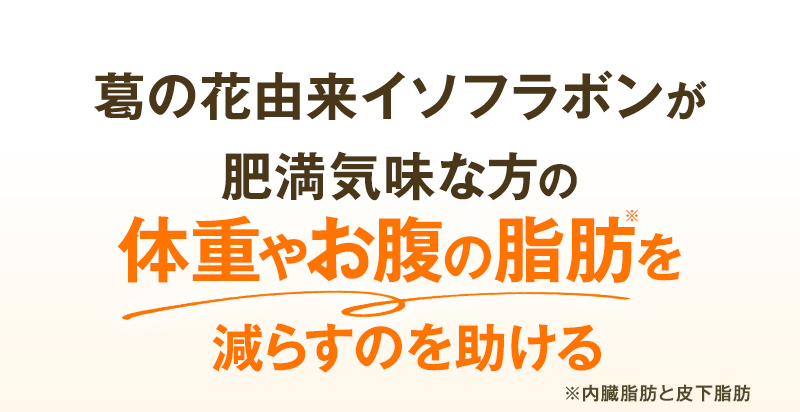 肥満気味な方の体重やお腹の脂肪※を減らす ※内臓脂肪と皮下脂肪 【フルーティーな味わい】