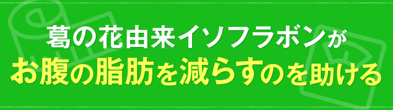 メタボメ青汁スッキリーナがお腹の脂肪を減らすのを助ける