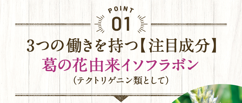 POINT1 3つの働きを持つ【注目成分】葛の花由来イソフラボン（テクトリゲニン類として）