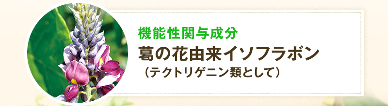 機能性関与成分 葛の花由来イソフラボン（テクトリゲニン類として）
