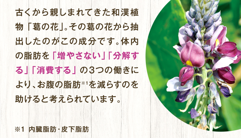 古くから親しまれてきた和漢植物「葛の花」。その葛の花から抽出したのがこの成分です。体内の脂肪を「増やさない」「分解する」「消化する」の３つの働きにより、お腹の脂肪※１を減らすのを助けると考えられています。※1 内臓脂肪・皮下脂肪