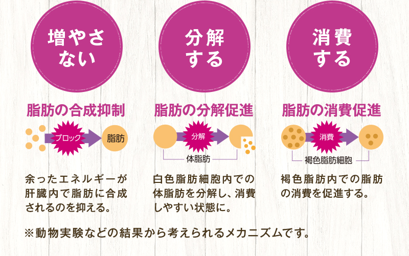 【増やさない】脂肪の合成抑制【分解する】脂肪の分解促進 【消費する】脂肪の消費促進