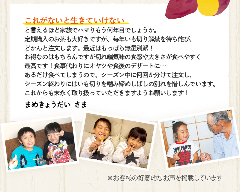 レビュー紹介