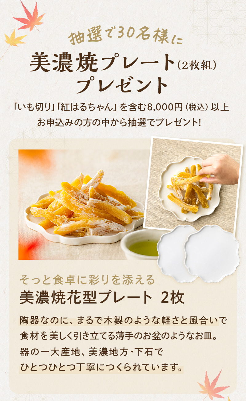 【キャンペーン開催中】美濃焼プレートプレゼント！（抽選で30名様）