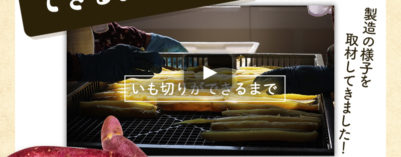 動画で見る