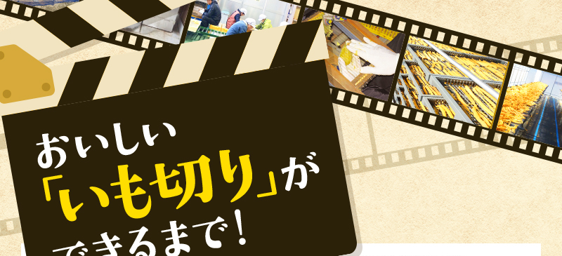 おいしい 「いも切り」が できるまで！「太陽の光をたっぷりと浴びて育ったさつま芋」