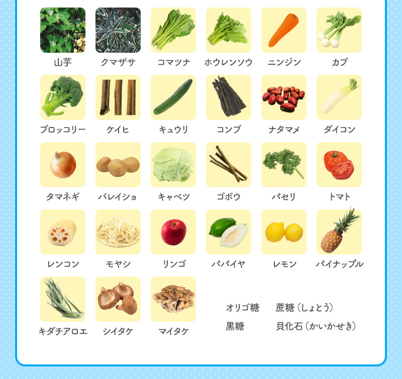 野草源酵素(R)に使われている野菜