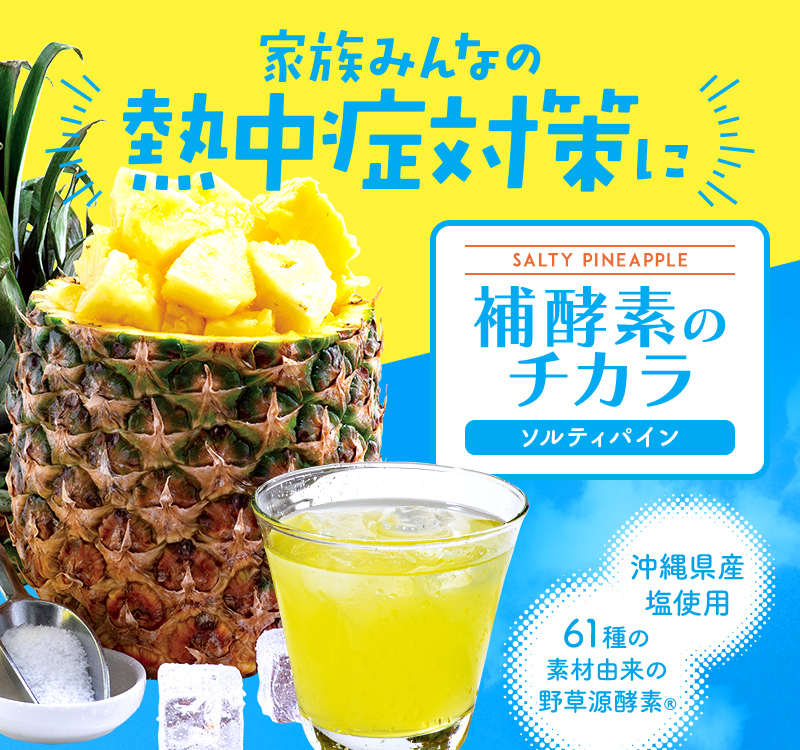 ティーライフ 補酵素のチカラ 乳酸菌プラス ソルティパインセット