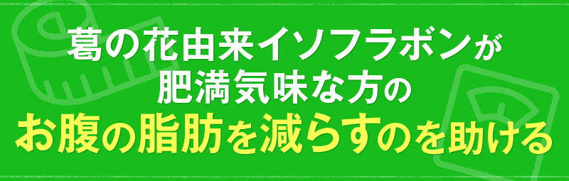 葛の花由来イソフラボンがお腹の脂肪を減らすのを助ける