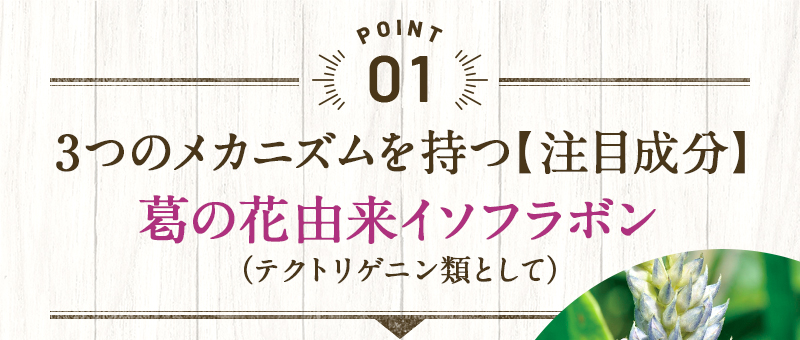 POINT1 3つの働きを持つ【注目成分】葛の花由来イソフラボン（テクトリゲニン類として）