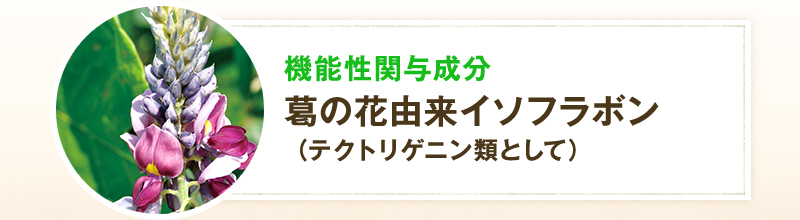 機能性関与成分 葛の花由来イソフラボン（テクトリゲニン類として）