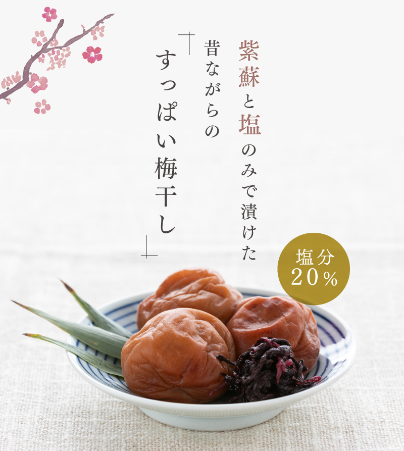 紫蘇と塩のみで漬けた昔ながらの「すっぱい梅干し」