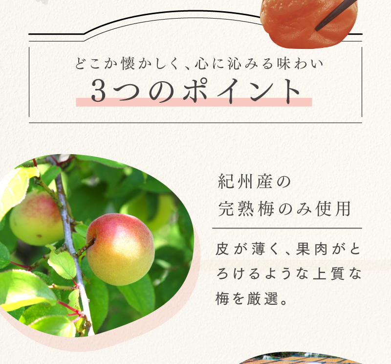 【ポイント1】紀州産の完熟梅のみ使用