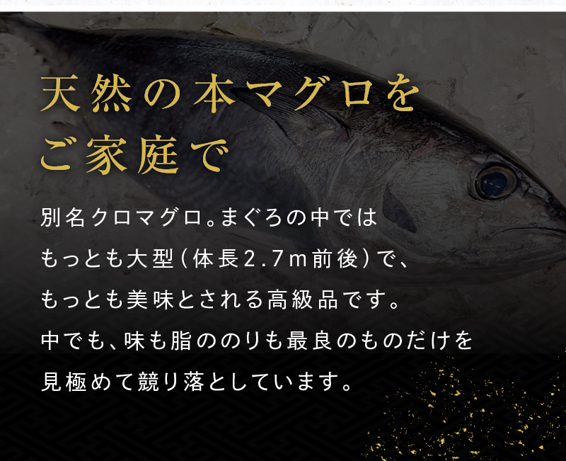 天然の本マグロ（クロマグロ）をご家庭で