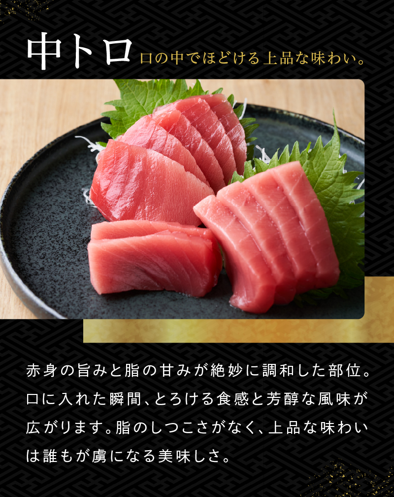 赤身・中トロ・大トロの特徴（口の中でほどける上品な味わい「中トロ」）