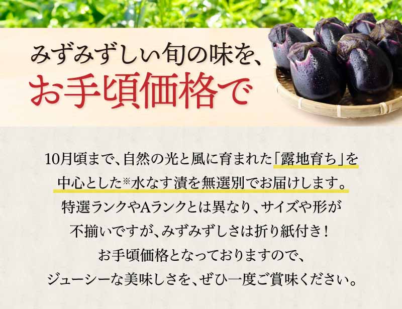 みずみずしい旬の味をお手頃価格で！「無選別 水なす漬」を販売します。