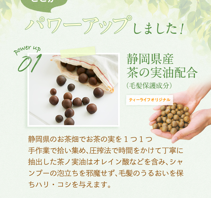 パワーアップ1：静岡県産茶ノ実油配合（ティーライフオリジナル）