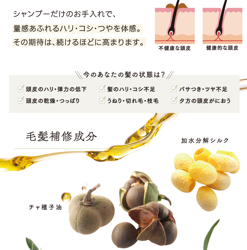 毛髪補修成分