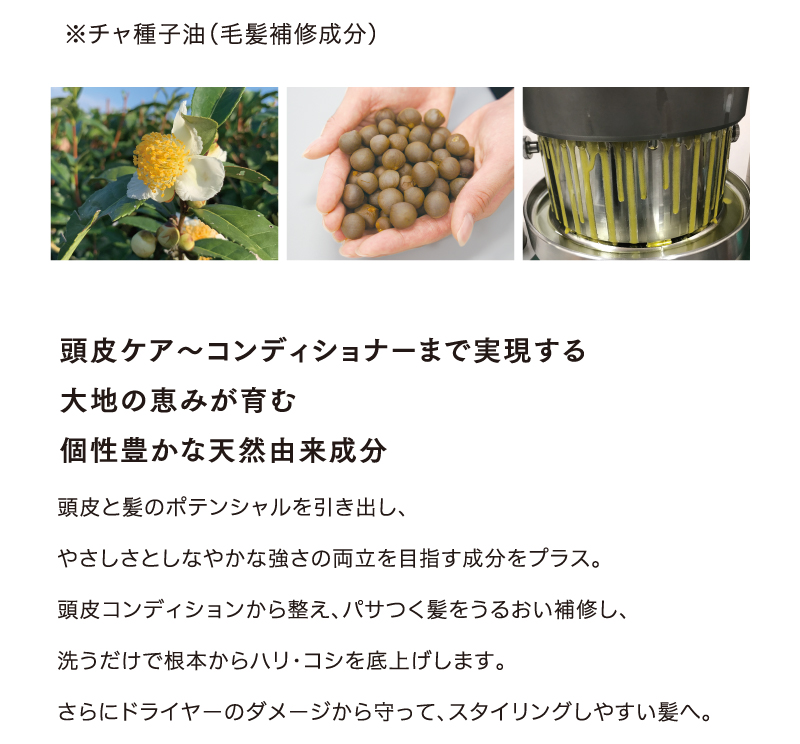 天然由来成分