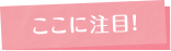 ここに注目!