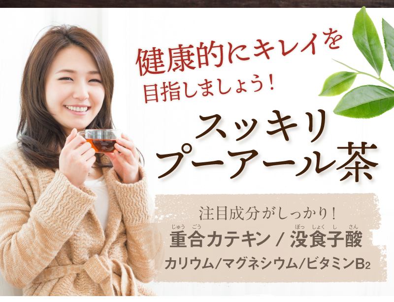 スッキリプーアール茶ポット用90個入 | お茶の通販・ギフト ... スッキリプーアール茶ポット用90個入 | お茶の通販・ギフト ...