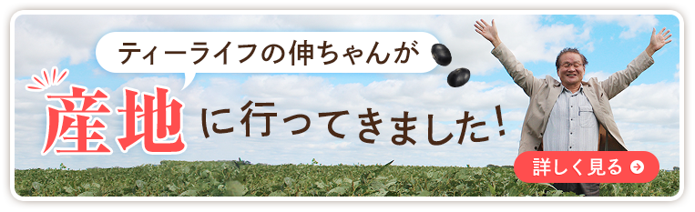 ティーライフ社長 伸ちゃんが、産地に行ってきました！