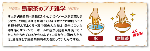 烏龍茶のプチ雑学
