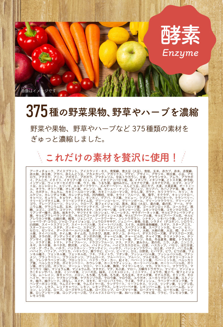 アサイー酵素スムージー 鉄 ビタミンe お茶の通販 ギフト プレゼント ティーライフ アサイー酵素スムージー 鉄 ビタミンe お茶の通販 ギフト プレゼント ティーライフ